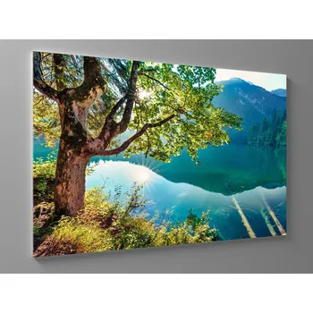 Obraz Obraz strom u alpského jezera Rozměr: 60 x 40 cm