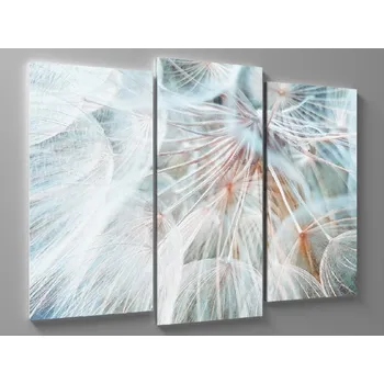 Obraz Obraz pampeliška v detailu Rozměr: 60 x 40 cm