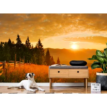 Tapeta Tapeta zlatý západ slunce