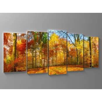 Obraz Obraz barevný podzim Rozměr: 150 x 70 cm