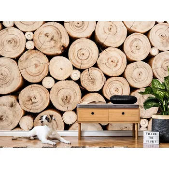 Tapeta Tapeta světlé letokruhy dřeva