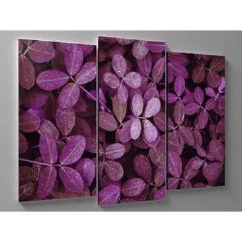 Obraz Obraz fialové lístky Rozměr: 60 x 40 cm