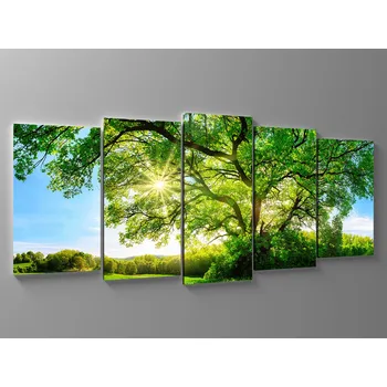 Obraz Obraz strom přání Rozměr: 125 x 55 cm