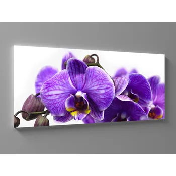 Obraz Obraz na plátně fialová orchidej Rozměr: 60 x 25 cm