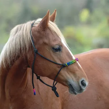 Jezdecké sedlo PASSION 4Q Provazová ohlávka Passion 4Q, černá Velikost: Full