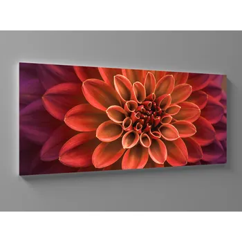 Obraz XXL obraz květ jiřinky Rozměr: 200 x 100 cm