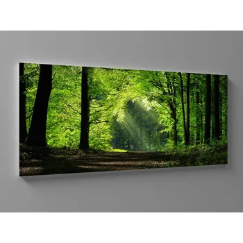 Obraz XXL obraz zelený les v úsvitu Rozměr: 200 x 100 cm
