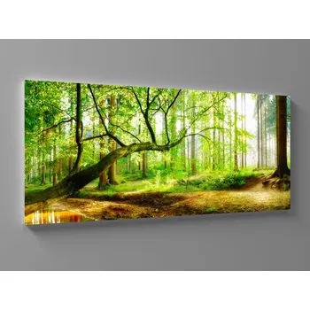 Obraz Les v paprscích slunce Rozměr: 60 x 25 cm