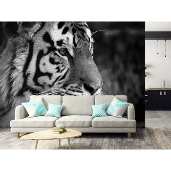 Tapeta Černobílá tapeta tygří hlava