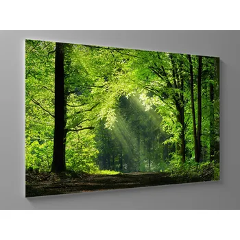 Obraz Obraz cesta lesem Rozměr: 60 x 40 cm