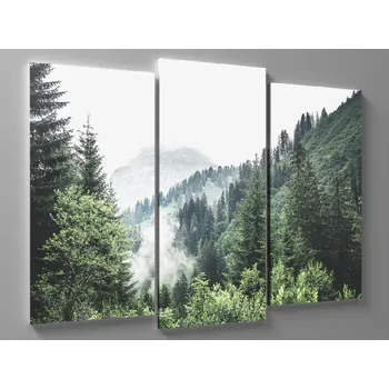 Obraz Obrazy vrcholky stromů v horách Rozměr: 60 x 40 cm