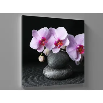 Obraz Obraz kameny a orchidej Rozměr: 40 x 40 cm