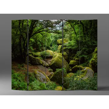 Paraván Paraván kameny v lese Rozměr: 225 x 180 cm