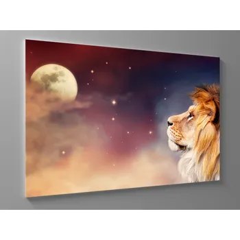 Obraz Obraz lev a měsíc Rozměr: 60 x 40 cm