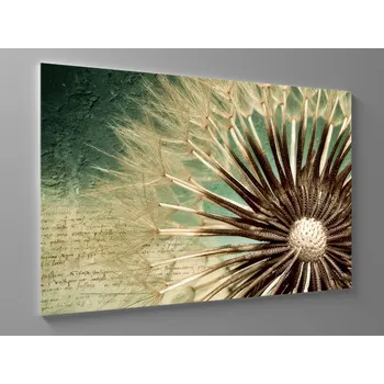 Obraz Obraz pampeliška makro Rozměr: 60 x 40 cm