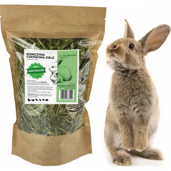 Krmivo pro hlodavce JETELOVÁ NAŤ BYLINKY PRO KRÁLÍKA HLODAVCE PŘÍRODNÍ ČERSTVÁ PAMLSEK 100G