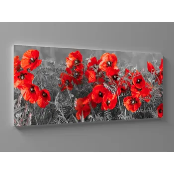 Obraz Obraz vlčí máky Rozměr: 60 x 25 cm