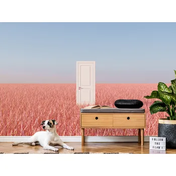 Tapeta Tapeta dveře do neznáma