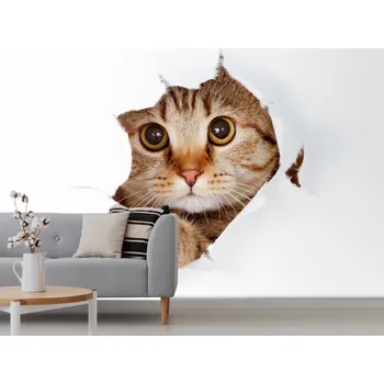 Tapeta Tapeta kočka vykukující z papíru