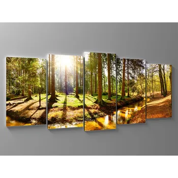 Obraz Obraz řeka v lese Rozměr: 150 x 70 cm