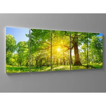 Obraz Obraz silný strom Rozměr: 125 x 50 cm