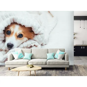 Tapeta Tapeta pes v dece