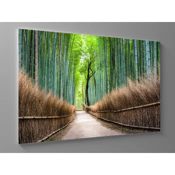 Obraz Obraz japonský bambusový les Rozměr: 60 x 40 cm