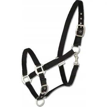 IP kamera Uzda Waldhausen 2 (cob) černý