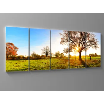 Obraz Obraz košatý strom Rozměr: 100 x 40 cm