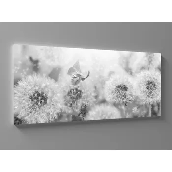 Obraz Obraz šedobílé pampelišky Rozměr: 60 x 25 cm