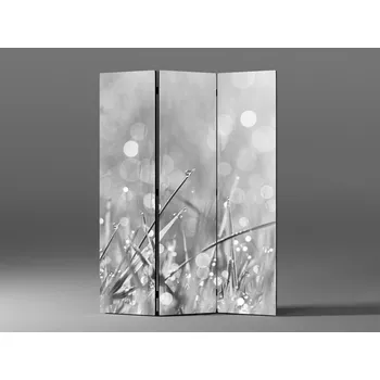 Paraván Paraván černobílá ranní rosa Rozměr: 135 x 180 cm