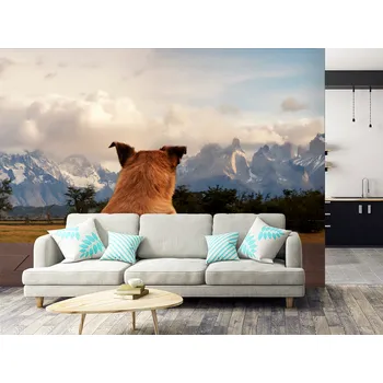 Tapeta Tapeta pes v horách