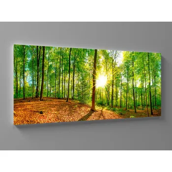 Obraz Obraz les Rozměr: 60 x 25 cm