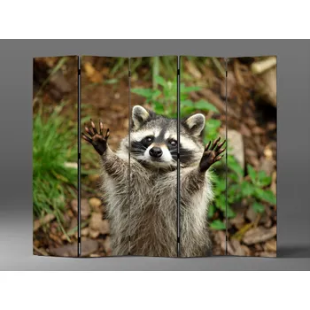 Paraván Paraván roztomilý mýval Rozměr: 225 x 180 cm