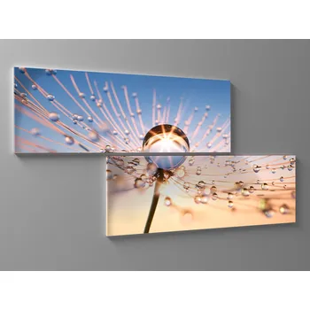 Obraz Obraz pampeliška s kapky rosy Rozměr: 80 x 40 cm