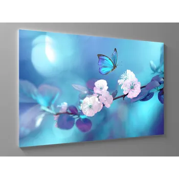 Obraz Tyrkysový obraz motýl Rozměr: 90 x 60 cm
