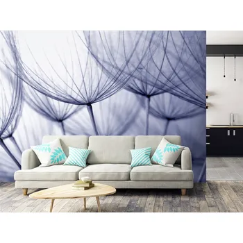 Tapeta Tapeta odkvetlé pampelišky