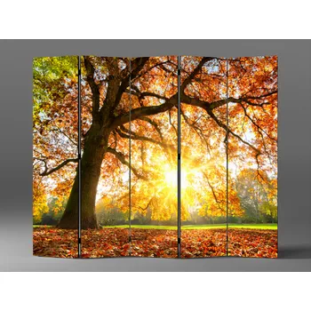 Paraván Paraván strom v západu slunce Rozměr: 225 x 180 cm
