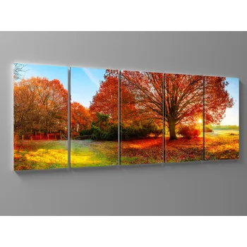 Obraz Obraz strom v paprscích slunce Rozměr: 100 x 40 cm