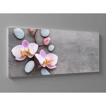 Obraz Obraz orchidej na šedém pozadí Rozměr: 60 x 25 cm