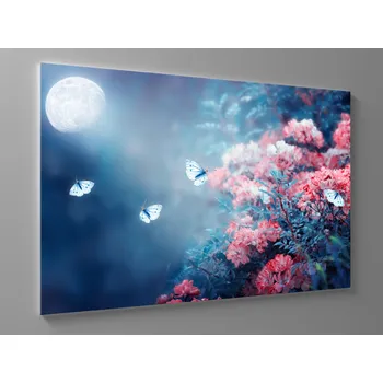 Obraz Obraz motýli v úplňku Rozměr: 60 x 40 cm