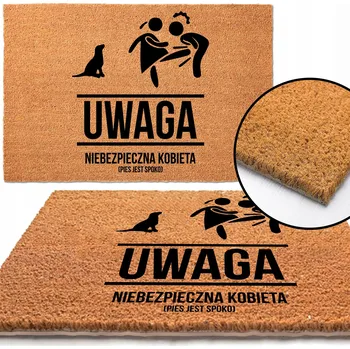 Rohožka Vstupní rohožka ke dveřím 40x60 Zábavná