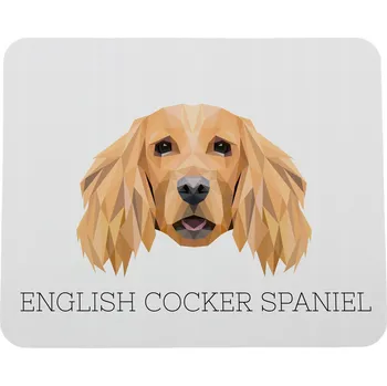 Obraz Anglický kokršpaněl - geometrická podložka s fotografií a nápisem