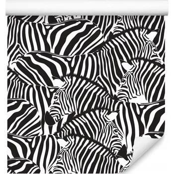 Fototapeta Tapeta pro mládež Divoká zvířata ZEBRA Dekorace