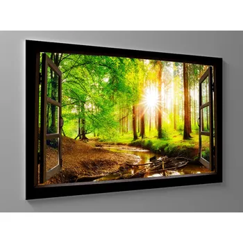 Obraz Obraz lesní potok Rozměr: 60 x 40 cm