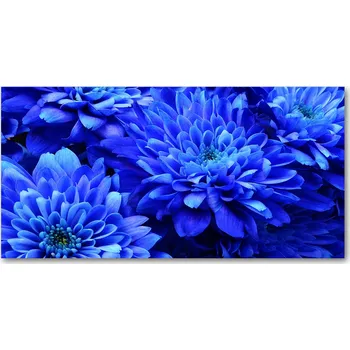 Obraz Kuchyňský panel Modrý aster 140x70 cm + LEPIDLO