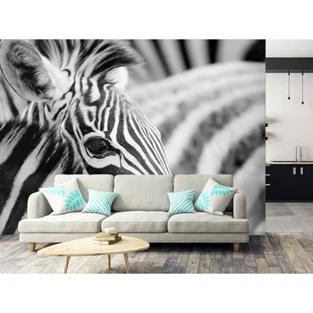 Tapeta Tapeta portrét zebry