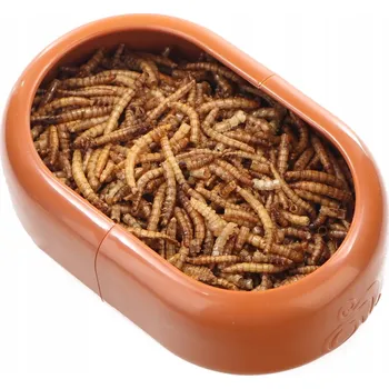 Miska pro psa Komodo chytrá miska - miska PRO živé krmivo