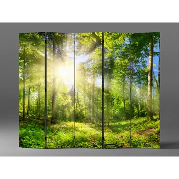 Paraván Paraván prosluněný les Rozměr: 225 x 180 cm