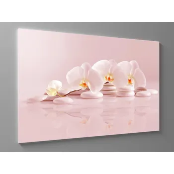 Obraz Růžový obraz orchidej Rozměr: 60 x 40 cm